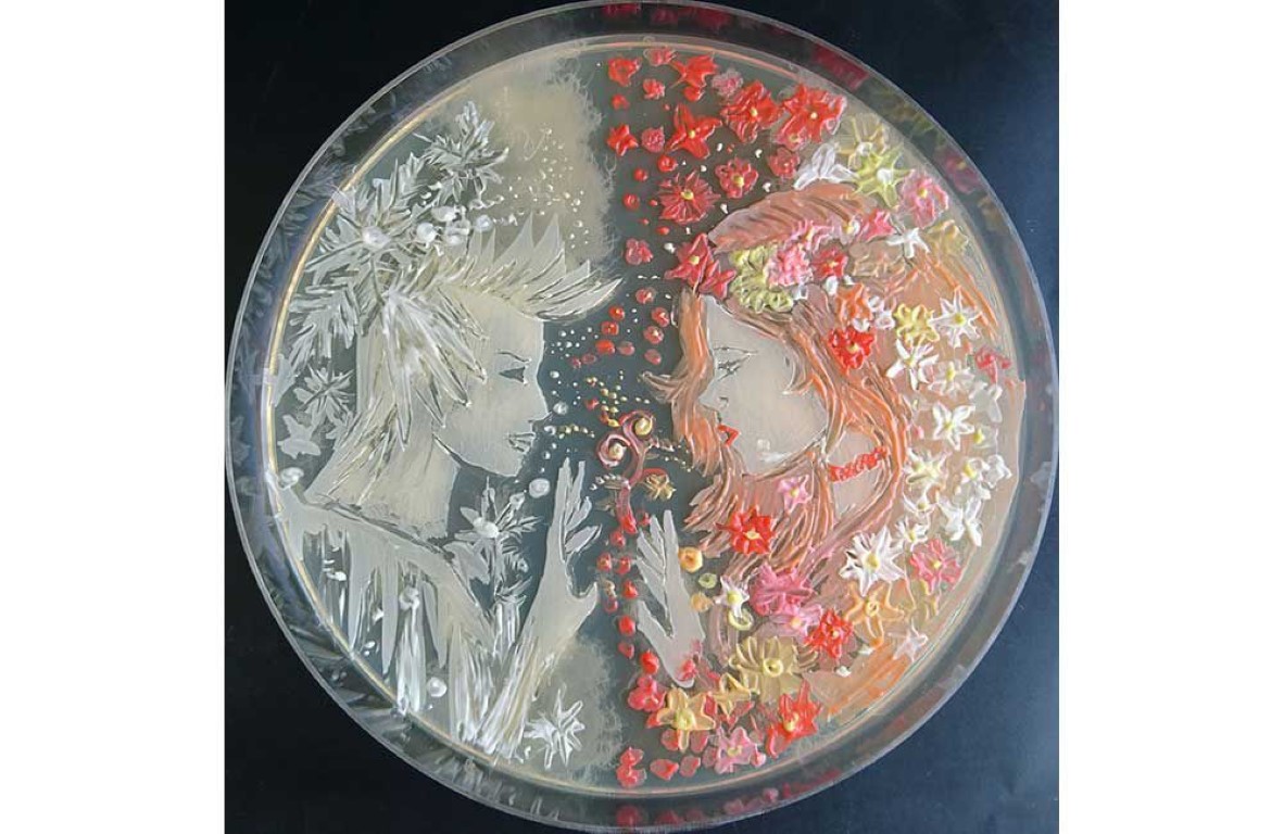 Are nude selfies art now? And fascinating microbial artwork