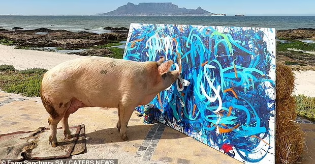 Wikipedia’s first edit sells as NFT, bacteria make a Van Gogh, and meet… Pigcasso!