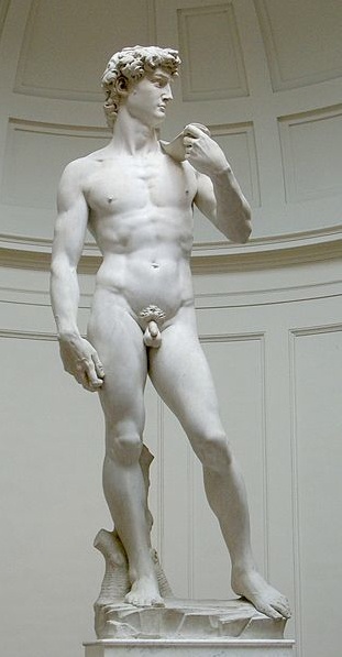 David: The neglected block of marble given to the 26-year old Michelangelo to complete