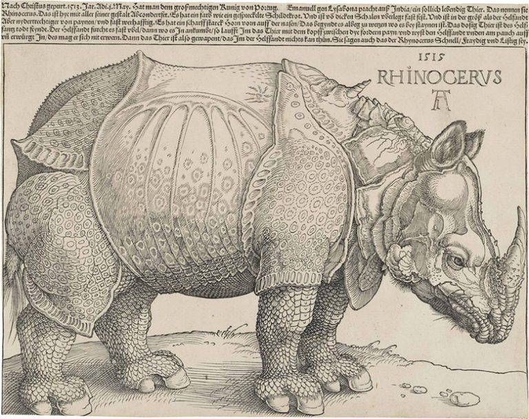 11 Things You Didn’t Know About Albrecht Durer