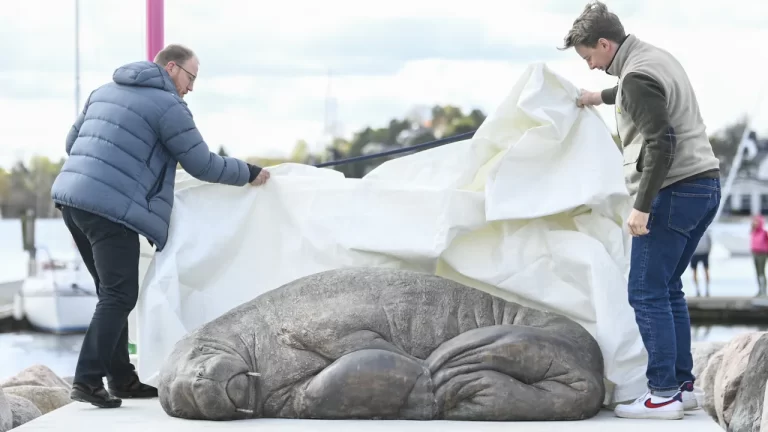 Sculpture of Freya the Walrus unveiled in Oslo