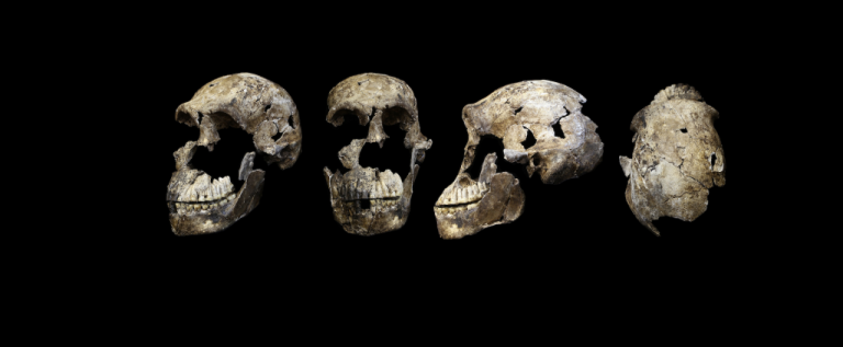 Unveiling the Enigma: Unsubstantiated Claims of Rock Art and Burial Practices by Smaller-Brained Homo Naledi