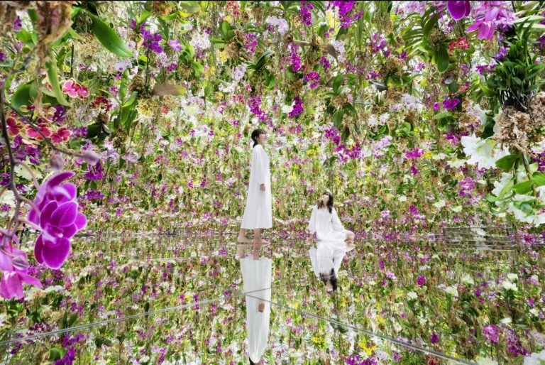 Is teamLab’s Hanging Flower Garden Exhibit an Immersive Experience Or A Simple Money Grab?