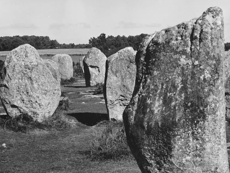 France’s 7,000-year-old Ancient Stones Demolished to Make Room for a New Chain of Hardware Stores.