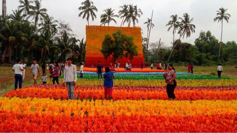 The Carpet of Joy: A Garden Made up of Plastic Flowers