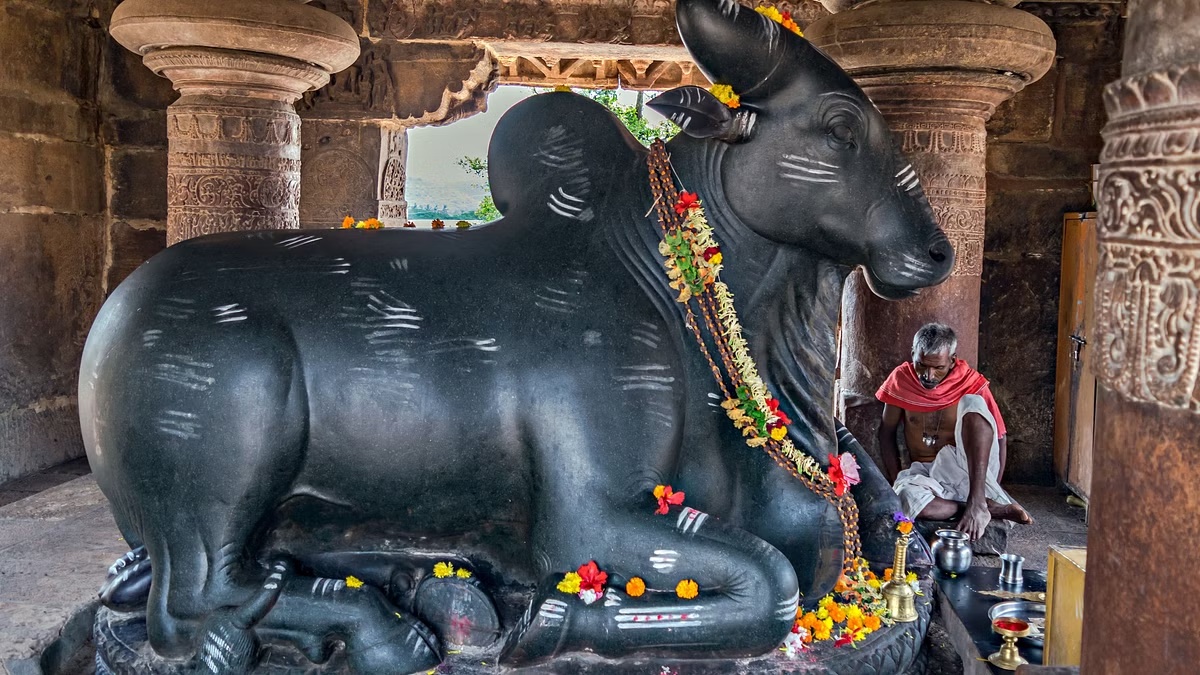 From Divine Guardian to Spiritual Guide The Enigmatic Nandi Bull in