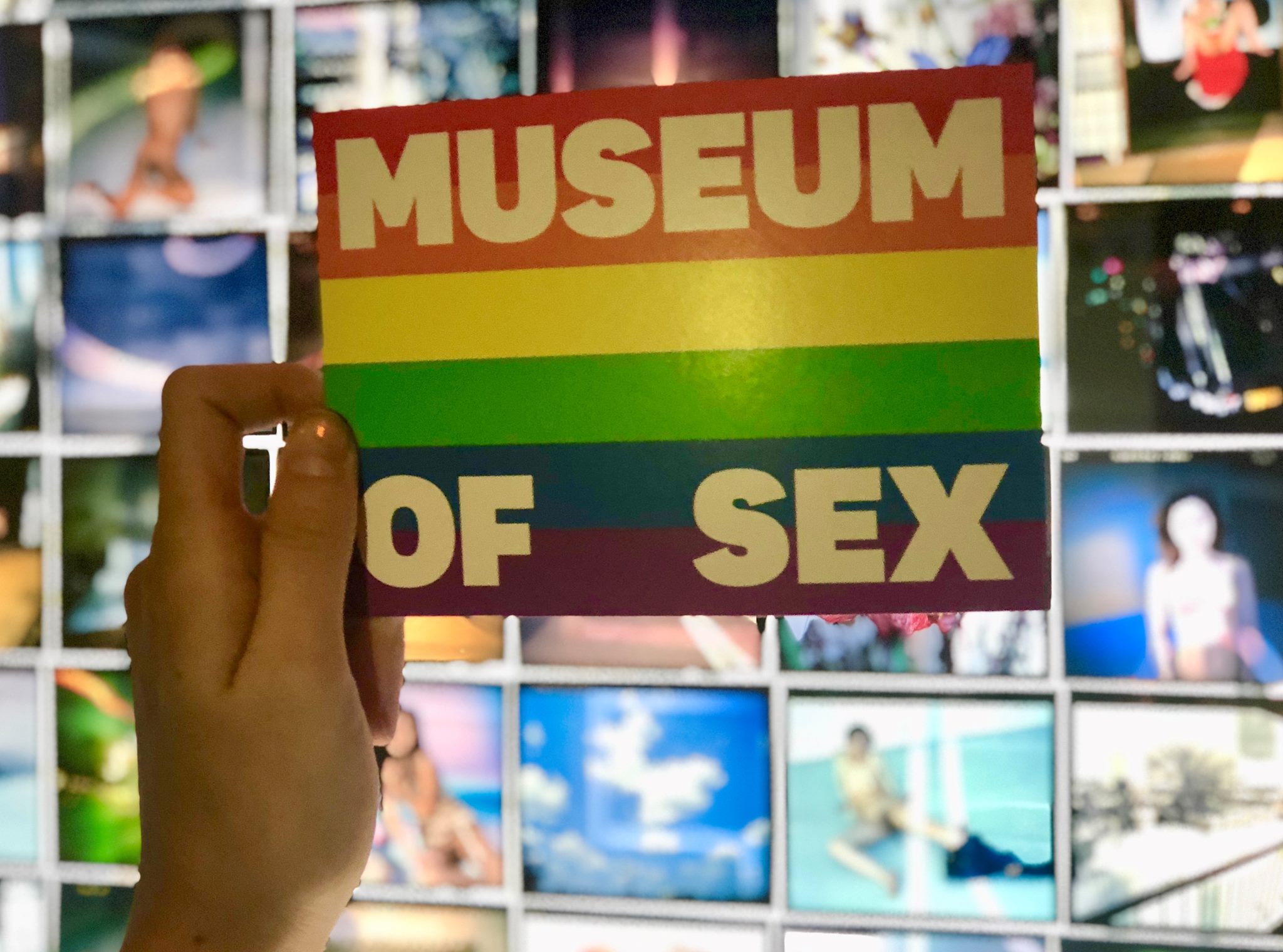 Wet Wild And Scholarly Exhibits Await Museum Of Sex Sets New Date For Miami Opening In January