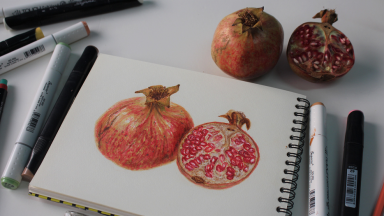 Something Seedy Subsists: Make A Pomegranate Drawing