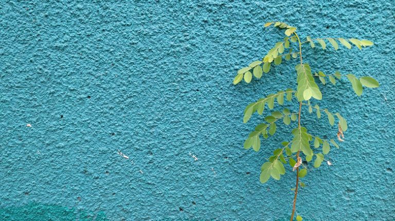 3 EASY Steps to DIY Popcorn Textured Walls