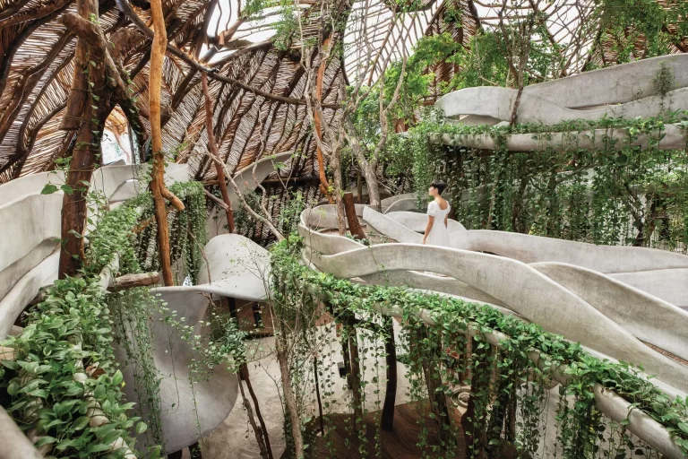 Biophilic Design: The Holistic Collaboration of Interior Design and Architecture