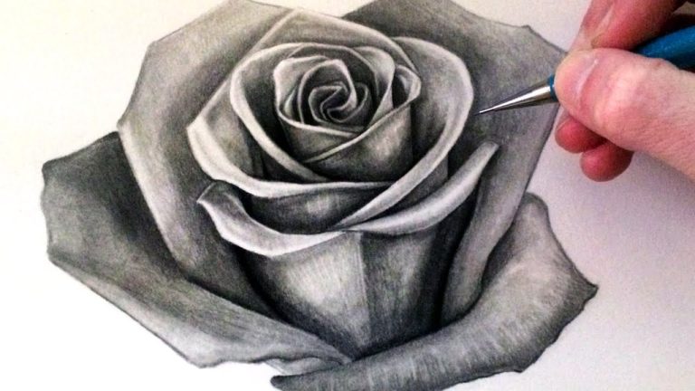 Your Sketchbook Will Be In Full Bloom With These Rose Flower Drawing Steps