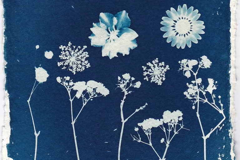 A Complete Guide to Cyanotype Printing: Techniques and Tips for Creating Stunning Sun Prints on Fabric