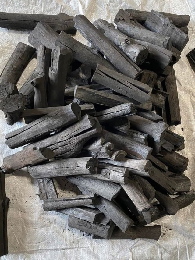 Types of Charcoal Sticks for Artists