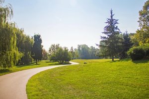 Frederick Law Olmsted: Genius of Place Who Designed Stanford