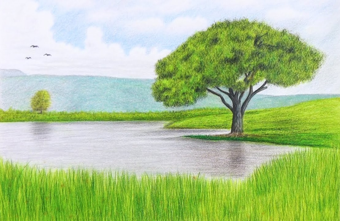 How To Draw Nature With Colour Pencils How To Draw Nature With Colour Pencils