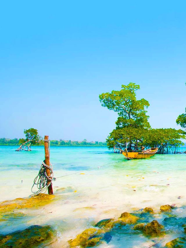 6 Art and Craft of Andaman and Nicobar Islands