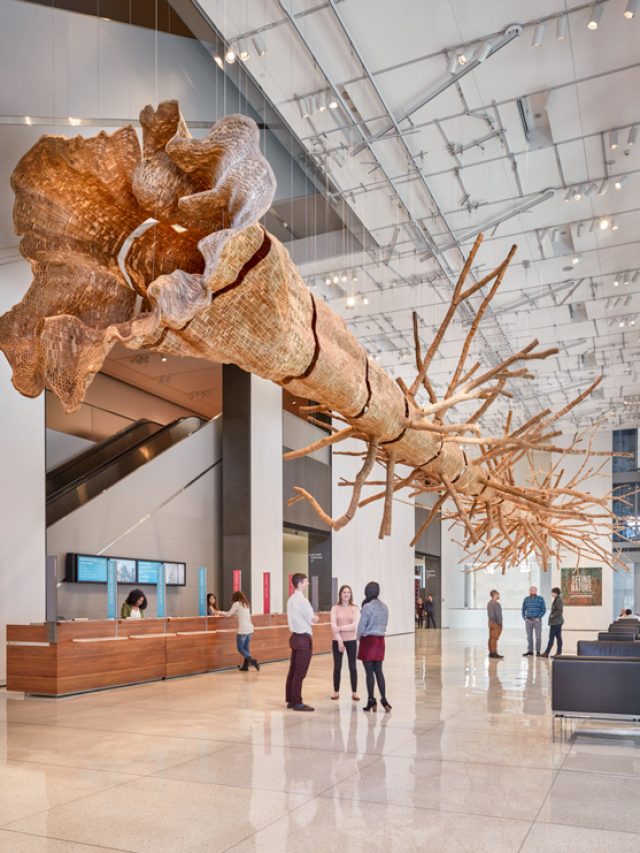 The Best Galleries, Museums, and Art Spaces to Visit in Seattle