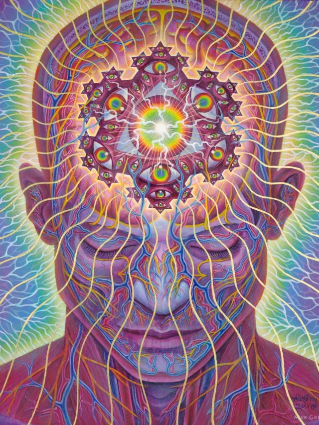 The Sacred Mirrors, The Visionary Art of Alex Grey