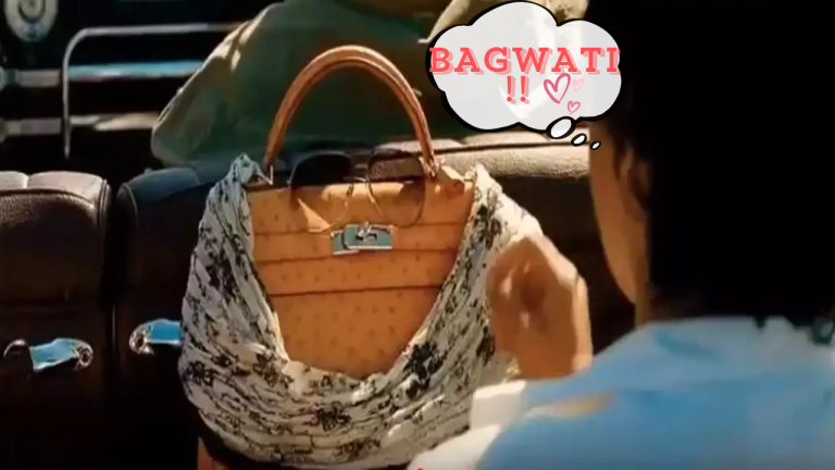 Only Bagwati Can Fix You: This is the Story of the Hermès Birkin