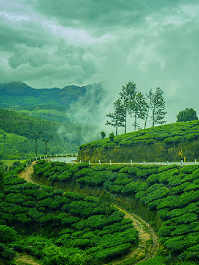 The Best Places to Visit in Monsoon in India