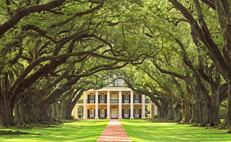 The Timeless Elegance of Antebellum Architecture: A Journey Through History, Style, and Modern Adaptations