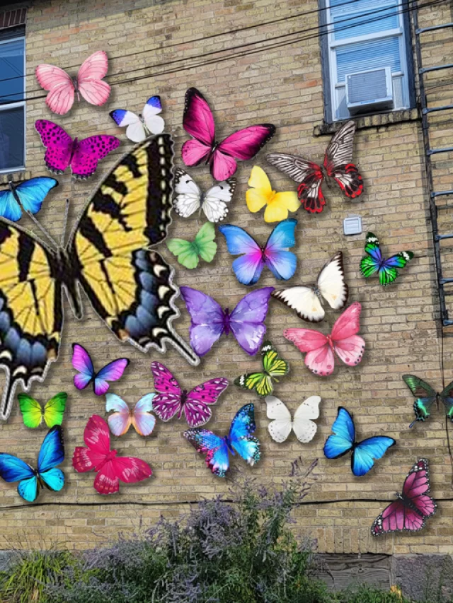 4 Places to Use Butterfly Wall Painting Art