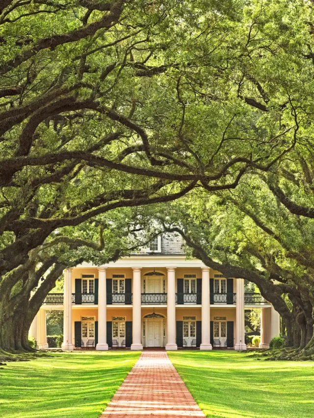 The Timeless Elegance of Antebellum Architecture