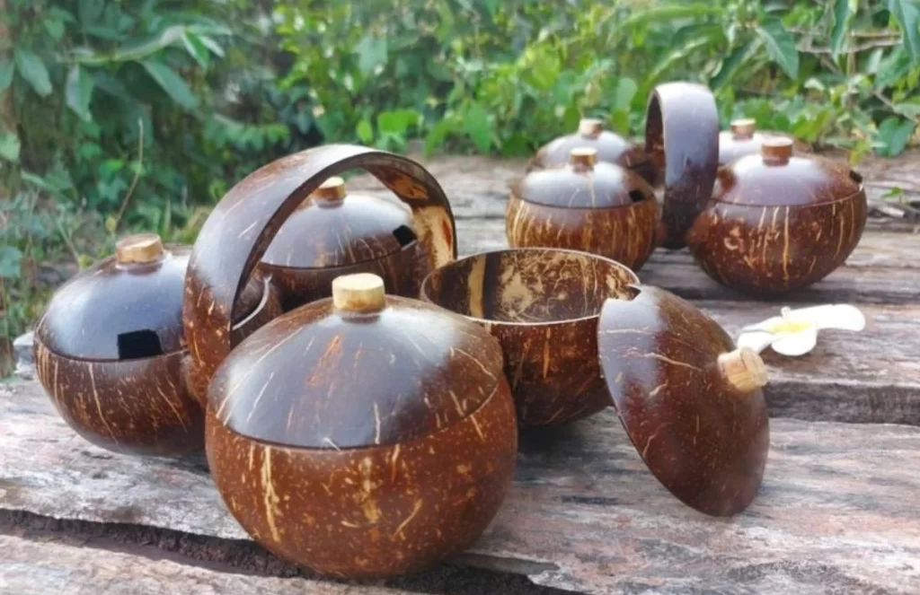 Coconut Shell Bowls 