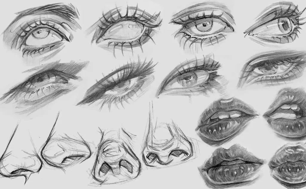 Drawing of Eyes and Facial Features 