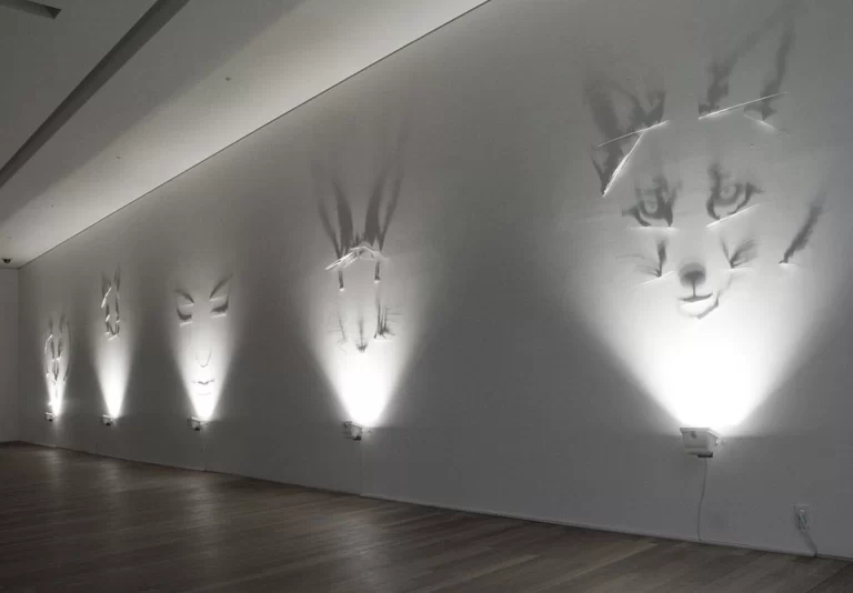 Bringing Shadow Art to the Spotlight