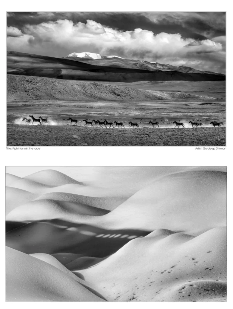 A Collage with sand dunes and mountains 