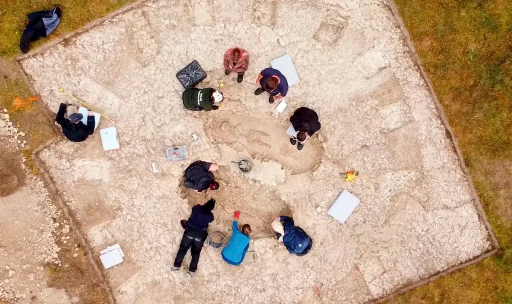 Archaeologists Studying the Burial Site