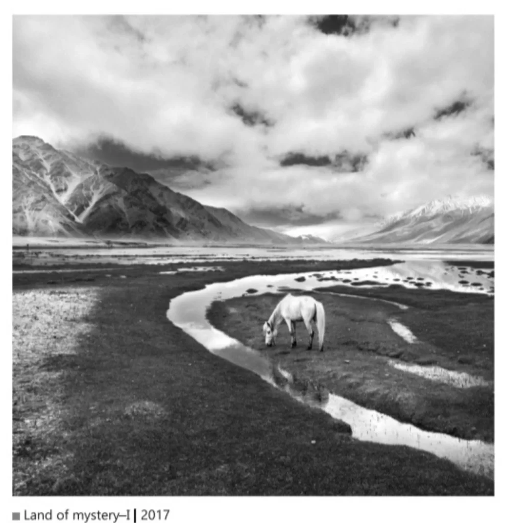 Horse drinking water from a stream with mountains in the background 