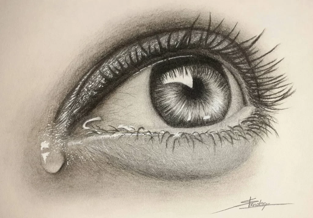 A drawing of an eye