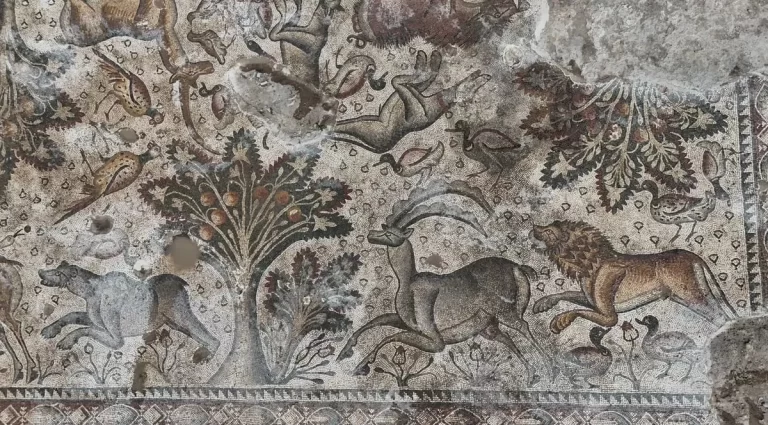 Turkish Farmer Accidentally Unearths Ancient Roman Mosaic of Hunt