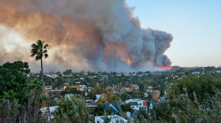 LA Fire Impacts Artists and Galleries Amidst Evacuation Orders and Closures