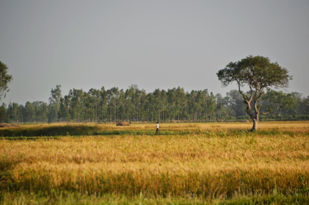 picture of a scenic landscape in India 