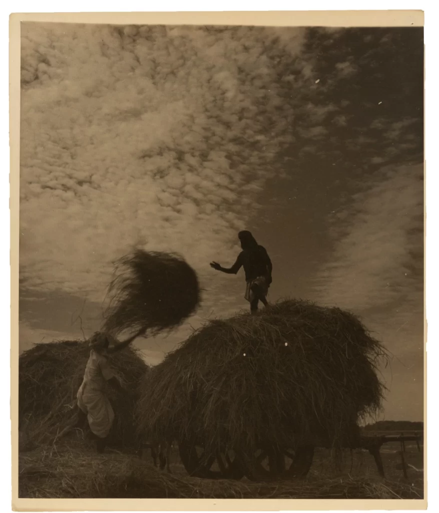 Loading Hay, (c.1940-50), Silver Gelatin print, 10x12 in.